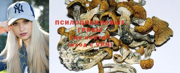синтетический гашиш Алексин