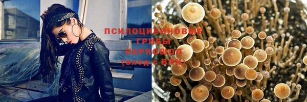 PSILOCYBIN Наволоки