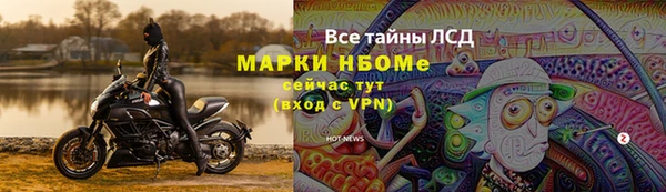 apvp Алзамай